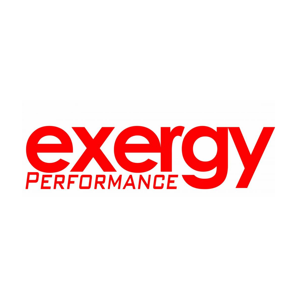 Exergy Performance