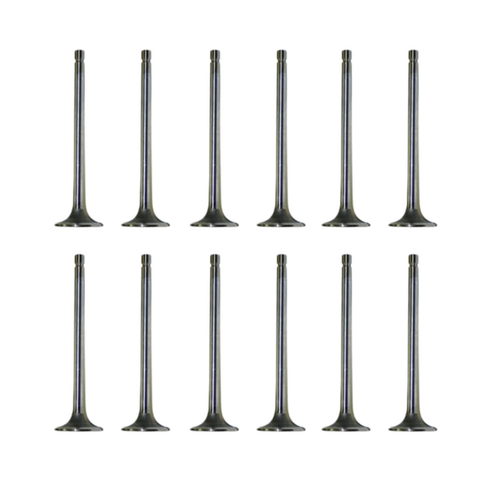 2002-2022 Cummins SBI Intake Valve Set of 12 (02014)